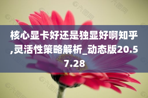 核心显卡好还是独显好啊知乎,灵活性策略解析_动态版20.57.28