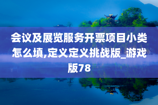 会议及展览服务开票项目小类怎么填,定义定义挑战版_游戏版78