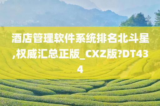 酒店管理软件系统排名北斗星,权威汇总正版_CXZ版?DT434