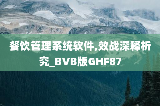 餐饮管理系统软件,效战深释析究_BVB版GHF87