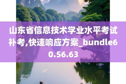 山东省信息技术学业水平考试补考,快速响应方案_bundle60.56.63