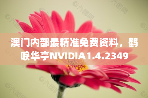 澳门内部最精准免费资料，鹤唳华亭NVIDIA1.4.2349