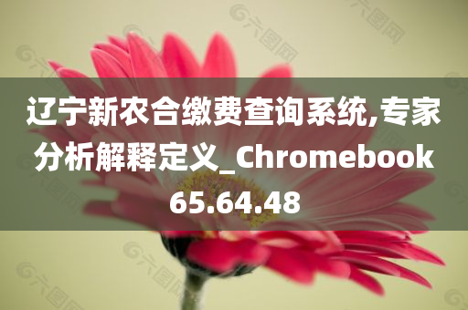 辽宁新农合缴费查询系统,专家分析解释定义_Chromebook65.64.48