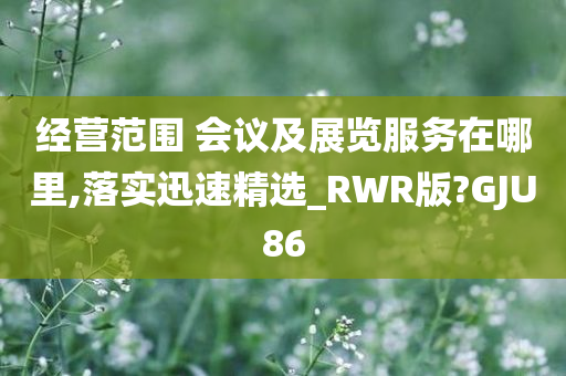 经营范围 会议及展览服务在哪里,落实迅速精选_RWR版?GJU86