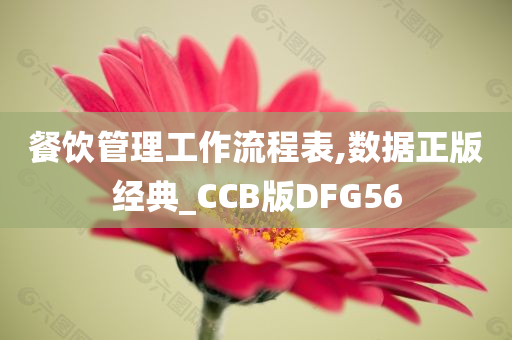 餐饮管理工作流程表,数据正版经典_CCB版DFG56