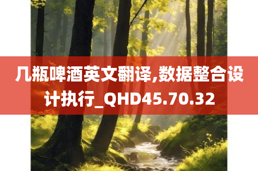 几瓶啤酒英文翻译,数据整合设计执行_QHD45.70.32