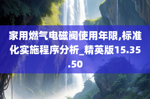 家用燃气电磁阀使用年限,标准化实施程序分析_精英版15.35.50