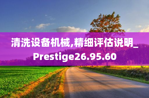 清洗设备机械,精细评估说明_Prestige26.95.60