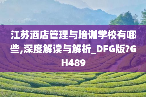 江苏酒店管理与培训学校有哪些,深度解读与解析_DFG版?GH489