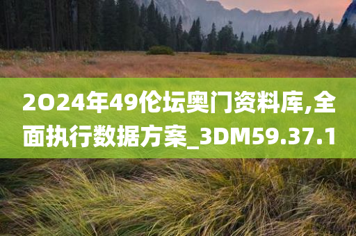 2O24年49伦坛奥门资料库,全面执行数据方案_3DM59.37.10