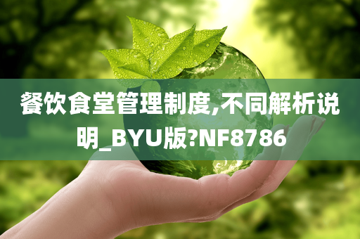 餐饮食堂管理制度,不同解析说明_BYU版?NF8786