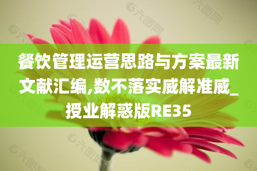 餐饮管理运营思路与方案最新文献汇编,数不落实威解准威_授业解惑版RE35