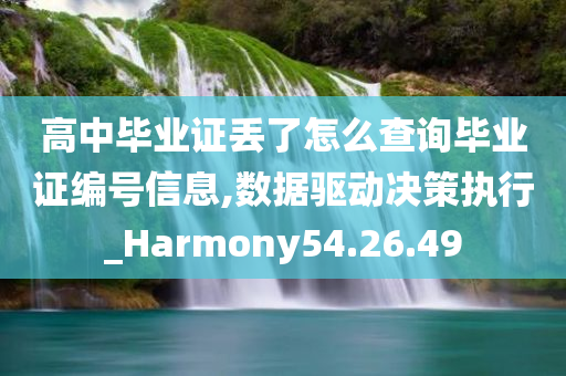 高中毕业证丢了怎么查询毕业证编号信息,数据驱动决策执行_Harmony54.26.49