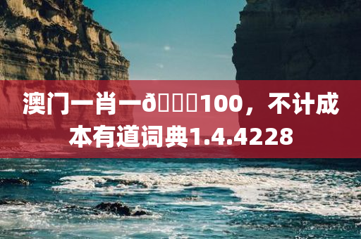 澳门一肖一🐎100，不计成本有道词典1.4.4228