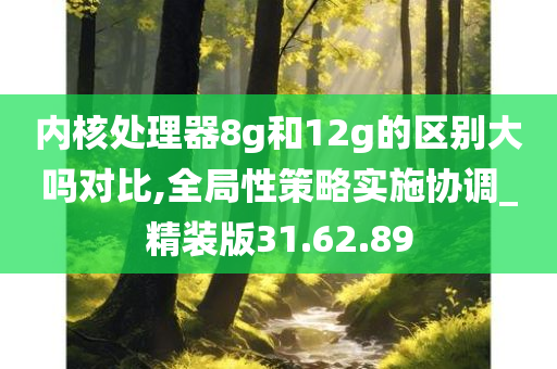 内核处理器8g和12g的区别大吗对比,全局性策略实施协调_精装版31.62.89