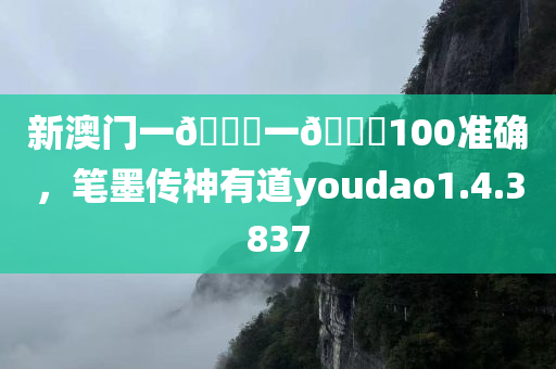 新澳门一🐎一🐎100准确，笔墨传神有道youdao1.4.3837