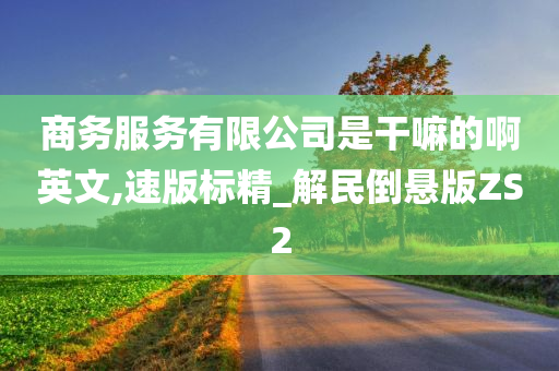 商务服务有限公司是干嘛的啊英文,速版标精_解民倒悬版ZS2