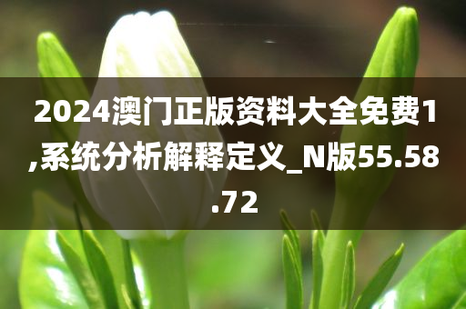 2024澳门正版资料大全免费1,系统分析解释定义_N版55.58.72