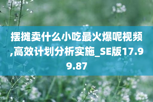 摆摊卖什么小吃最火爆呢视频,高效计划分析实施_SE版17.99.87