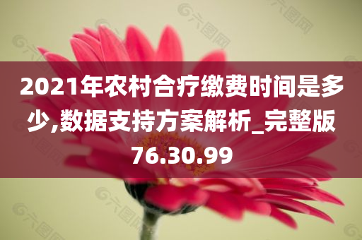 2021年农村合疗缴费时间是多少,数据支持方案解析_完整版76.30.99