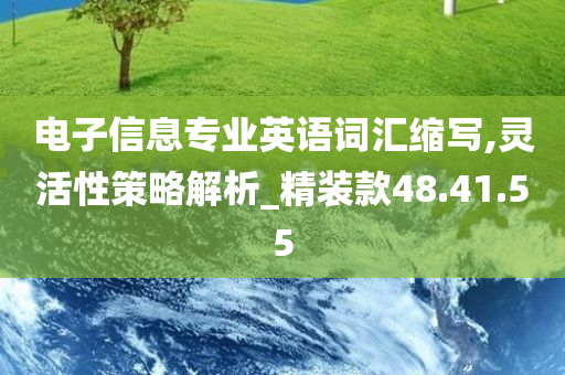 电子信息专业英语词汇缩写,灵活性策略解析_精装款48.41.55