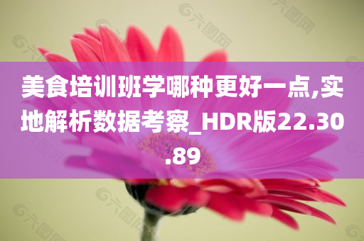 美食培训班学哪种更好一点,实地解析数据考察_HDR版22.30.89