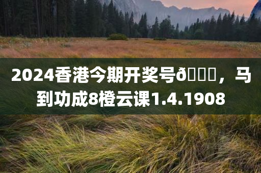 2024香港今期开奖号🐎，马到功成8橙云课1.4.1908