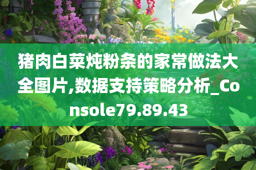 猪肉白菜炖粉条的家常做法大全图片,数据支持策略分析_Console79.89.43