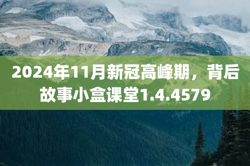 2024年11月新冠高峰期，背后故事小盒课堂1.4.4579