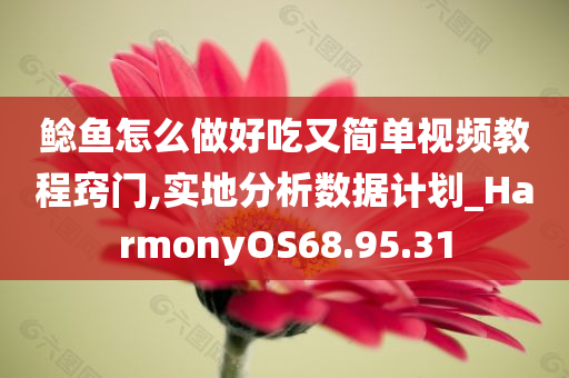 鲶鱼怎么做好吃又简单视频教程窍门,实地分析数据计划_HarmonyOS68.95.31