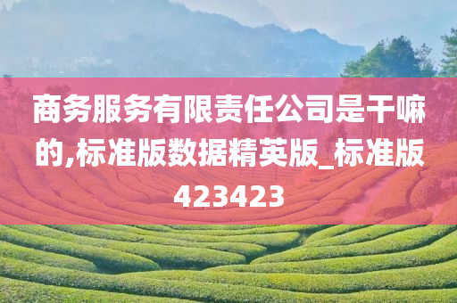 商务服务有限责任公司是干嘛的,标准版数据精英版_标准版423423