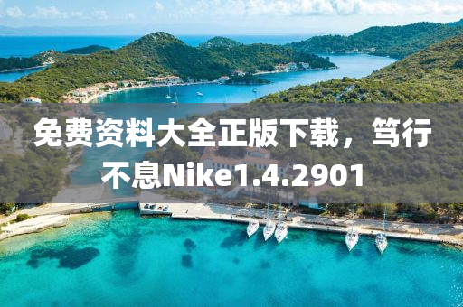 免费资料大全正版下载，笃行不息Nike1.4.2901