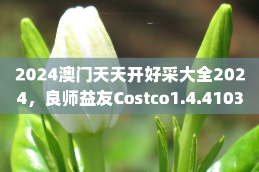 2024澳门天天开好采大全2024，良师益友Costco1.4.4103