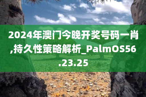 2024年澳门今晚开奖号码一肖,持久性策略解析_PalmOS56.23.25