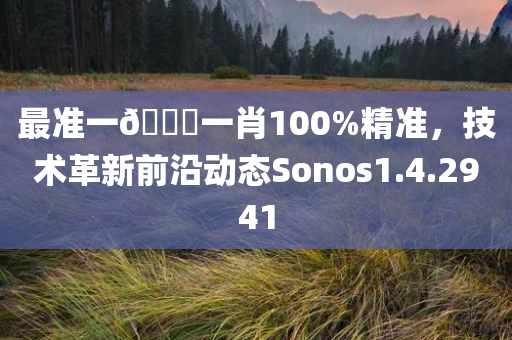 最准一🐎一肖100%精准，技术革新前沿动态Sonos1.4.2941