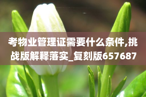 考物业管理证需要什么条件,挑战版解释落实_复刻版657687