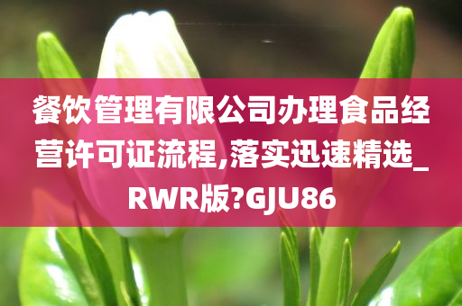 餐饮管理有限公司办理食品经营许可证流程,落实迅速精选_RWR版?GJU86