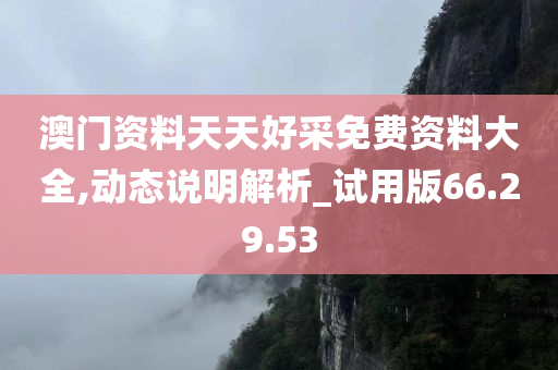 澳门资料天天好采免费资料大全,动态说明解析_试用版66.29.53