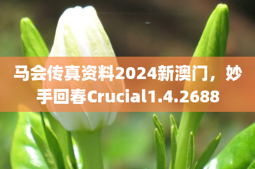 马会传真资料2024新澳门，妙手回春Crucial1.4.2688