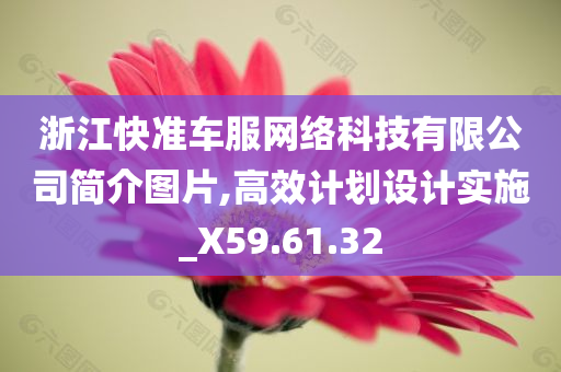 浙江快准车服网络科技有限公司简介图片,高效计划设计实施_X59.61.32