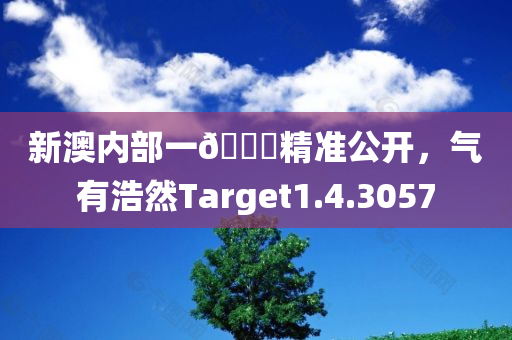 新澳内部一🐎精准公开，气有浩然Target1.4.3057