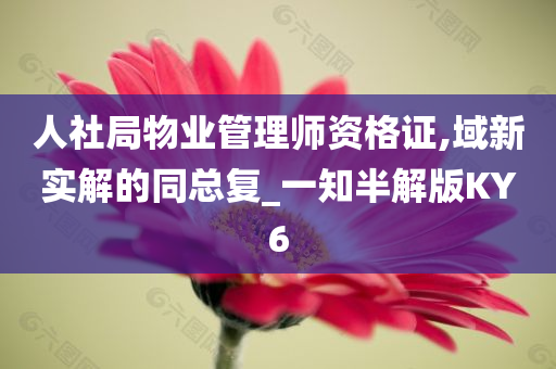 人社局物业管理师资格证,域新实解的同总复_一知半解版KY6