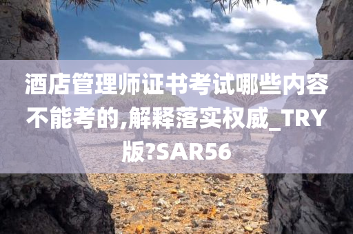 酒店管理师证书考试哪些内容不能考的,解释落实权威_TRY版?SAR56