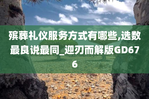 殡葬礼仪服务方式有哪些,选数最良说最同_迎刃而解版GD676