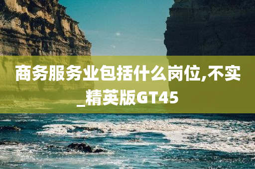 商务服务业包括什么岗位,不实_精英版GT45