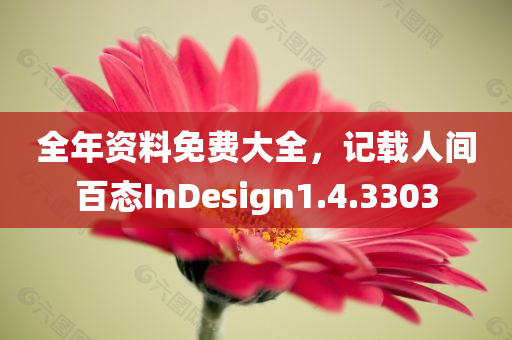 全年资料免费大全，记载人间百态InDesign1.4.3303