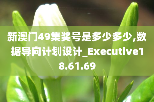 新澳门49集奖号是多少多少,数据导向计划设计_Executive18.61.69