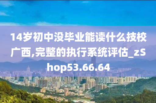 14岁初中没毕业能读什么技校广西,完整的执行系统评估_zShop53.66.64