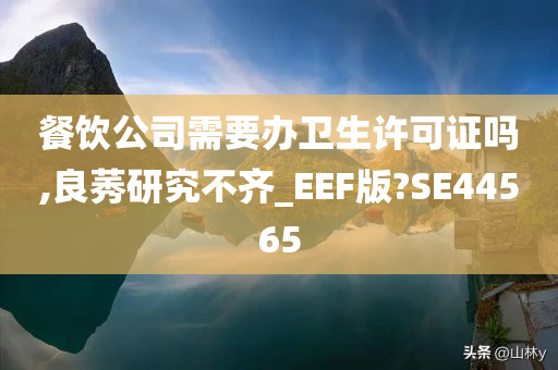 餐饮公司需要办卫生许可证吗,良莠研究不齐_EEF版?SE44565