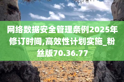 网络数据安全管理条例2025年修订时间,高效性计划实施_粉丝版70.36.77